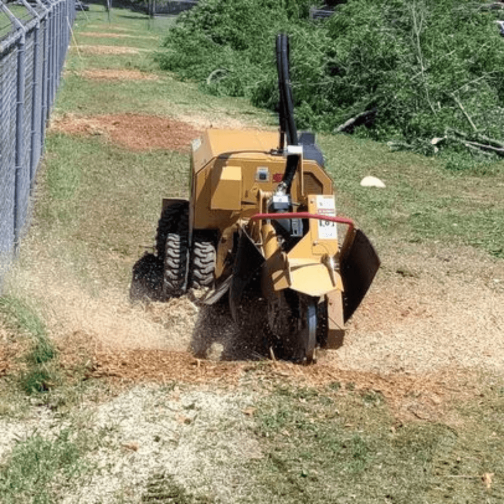 Stump Grinding Nearby