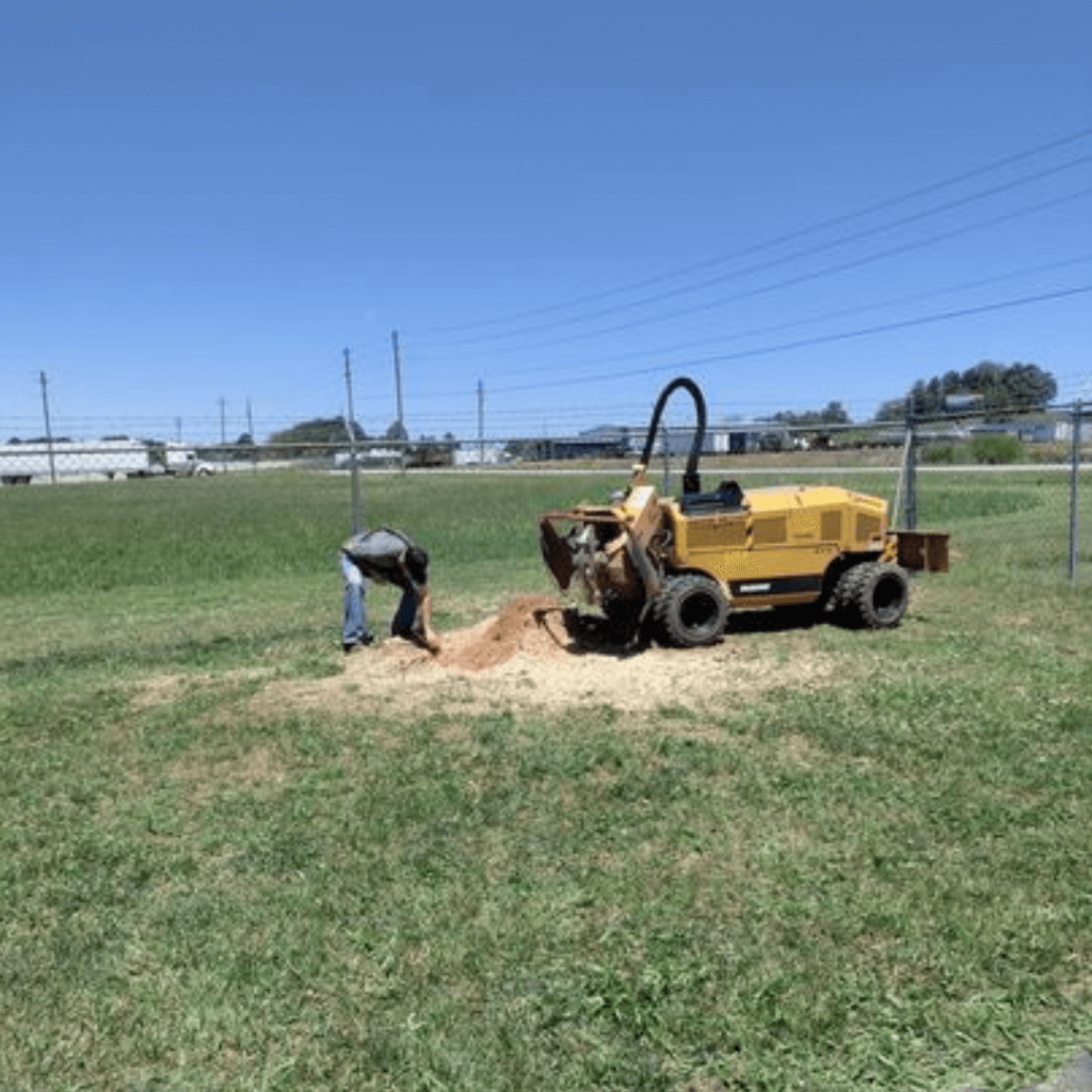 Affordable Stump Grinding