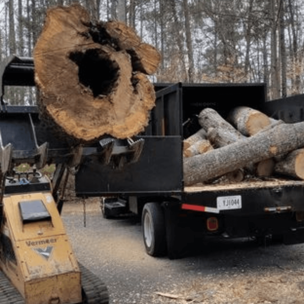 Tree Removal Equipment