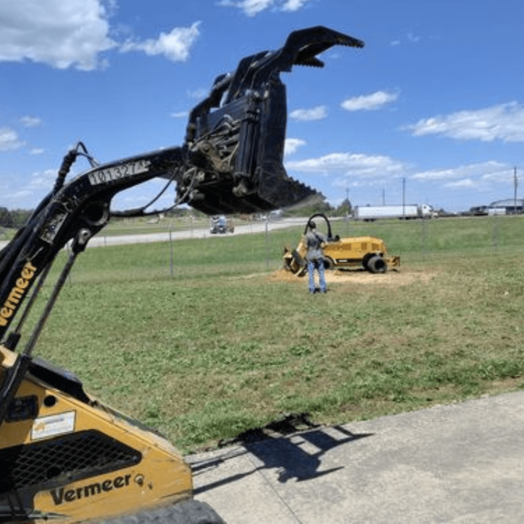 Tree Service in Gainesville