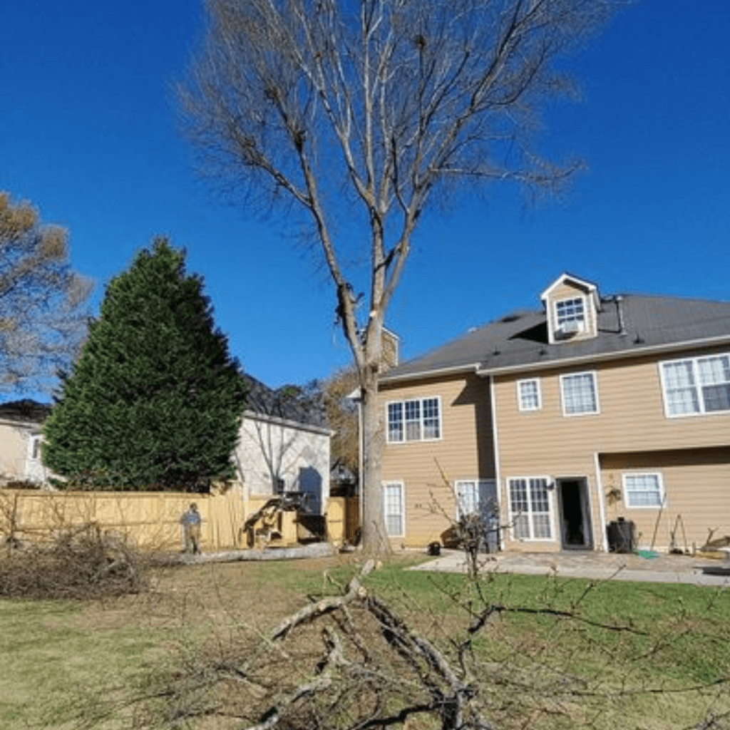 Tree Pruning Nearby