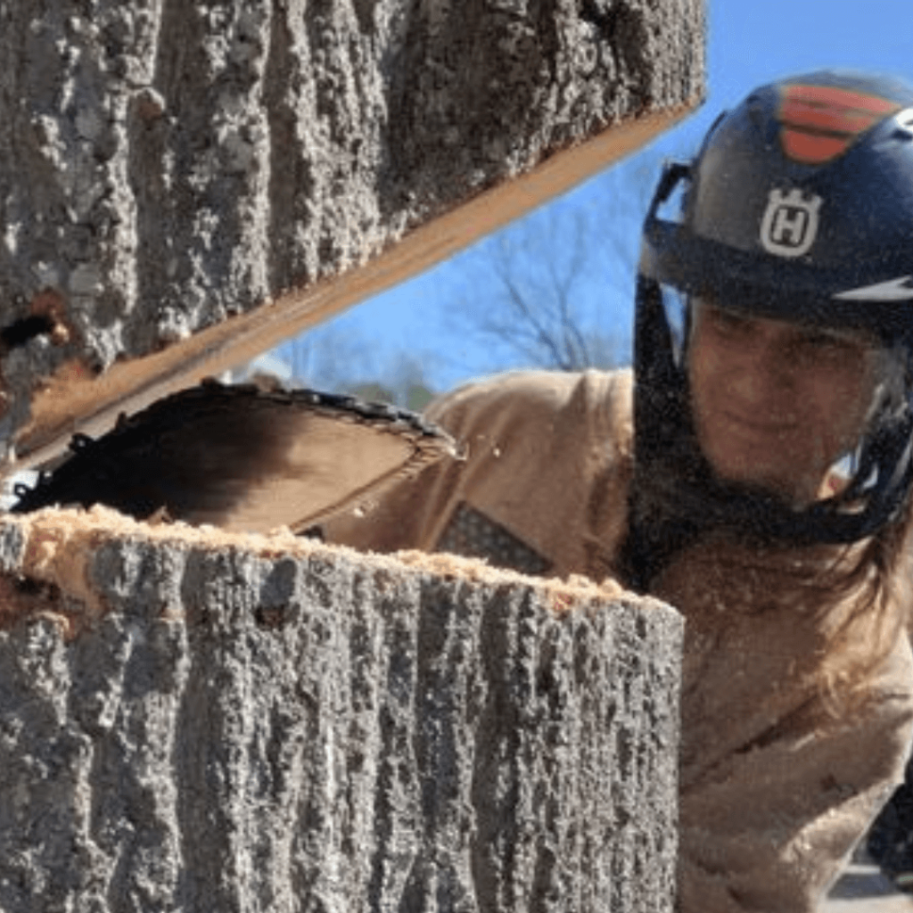 Affordable Tree Removal