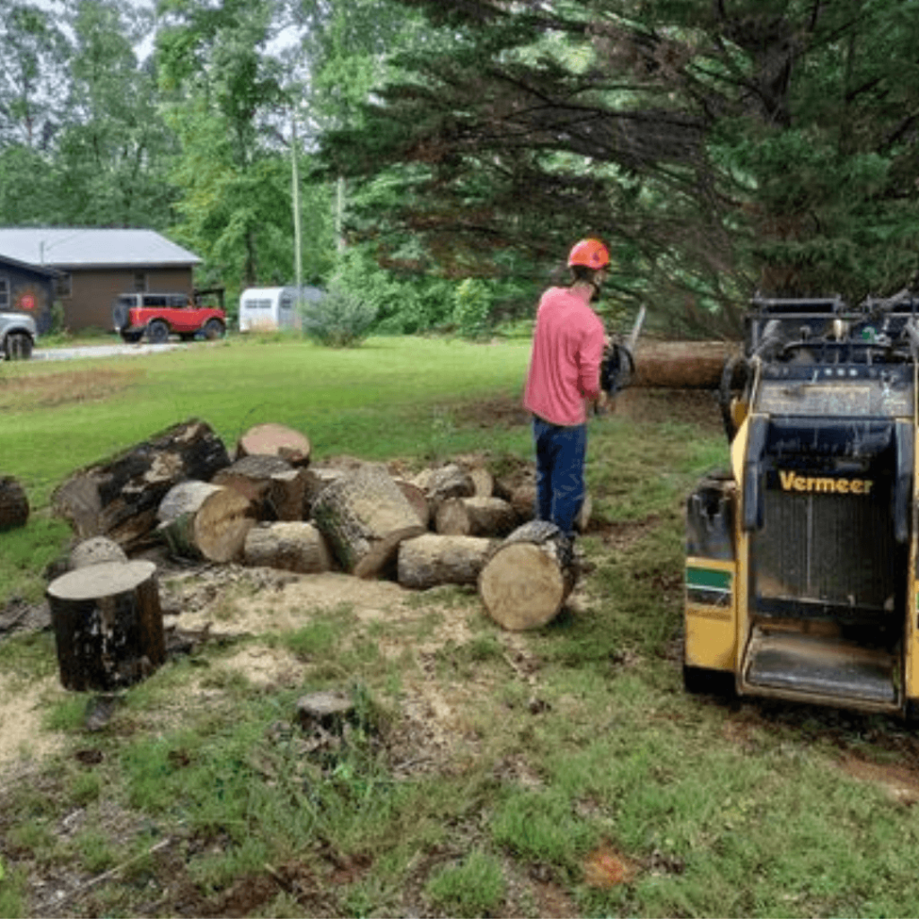 Large Tree Removal