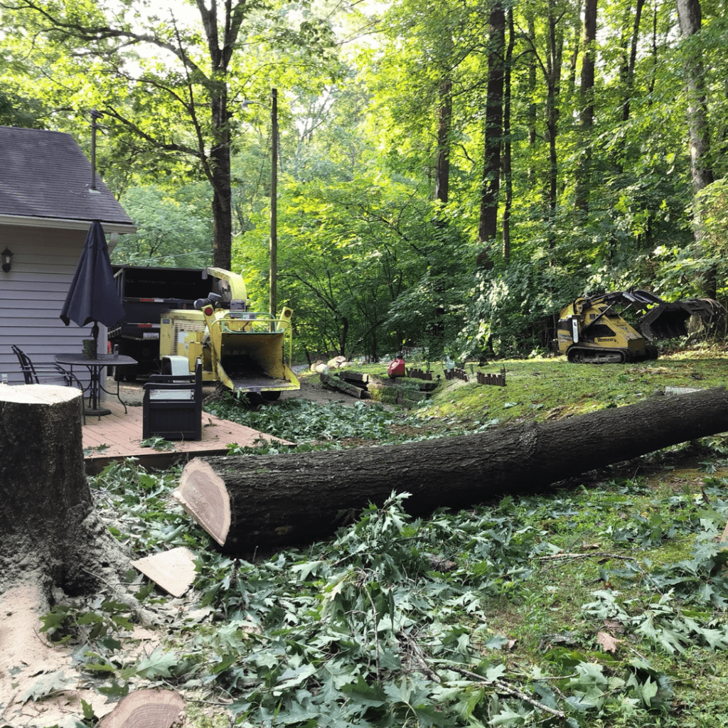 Mlh Tree Service Gainesville