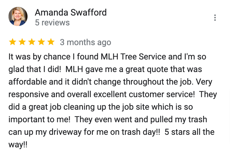 Google Review MLH Tree Service Gainesville